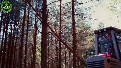 Buy Sustainable Timber | A To Z Wood Company | Wood Logs, Sawn Timber & Slabs for Sale
