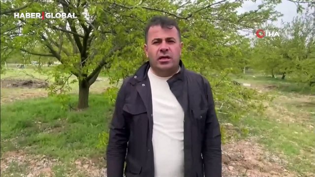 Malatya'da kayısı üreticilerinden zirai don önlemi