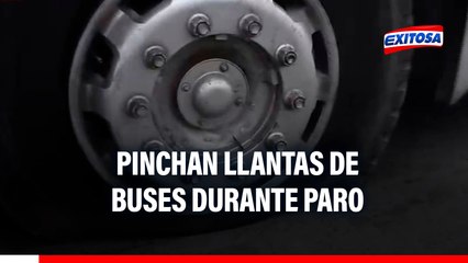 Puente Piedra: Pinchan llantas y rompen lunas de buses cerca al óvalo Zapallal durante paro transportista