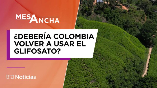 ¿Debería Colombia volver a usar el glifosato para erradicar cultivos de coca?