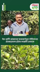 पेरू आणि आंब्यामुळे शेतकरी बनला लखपती