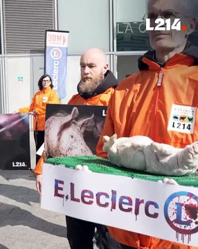 Des militants de l'association de défense des animaux L214 ont déposé des cadavres de porcelets devant un Leclerc parisien pour protester contre les conditions d'élevage dans des établissements fournissant le distributeur