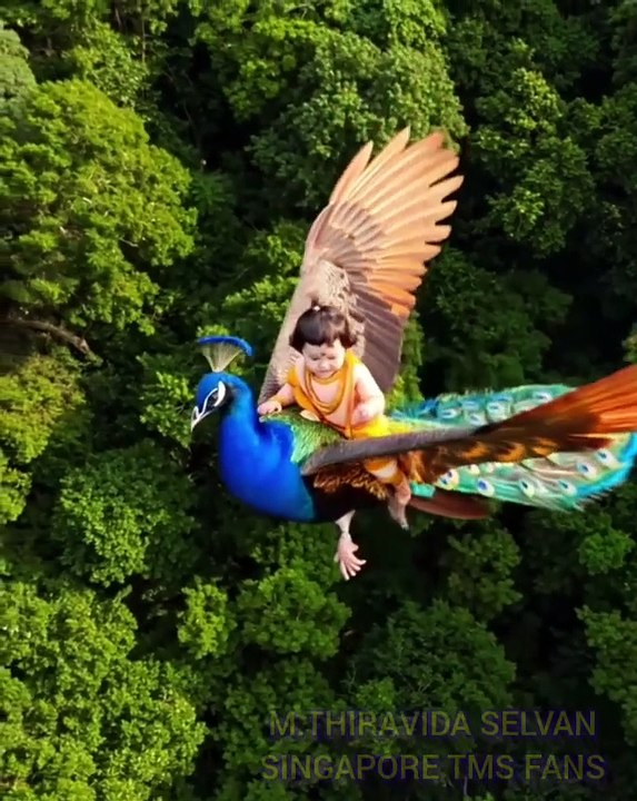 நான் பாடும் பாட்டு ஓசை பழனி வரை போகும் முருகா TMS LEGEND M.THIRAVIDA SELVAN SINGAPORE TMS FANS 2025 .