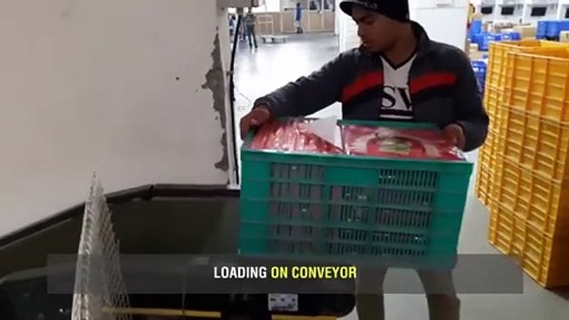 Inclined_Decline Conveyors and Roller Conveyors Bend - Falcon Autotech