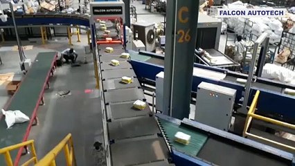Induction in Cross Belt Sorter - Falcon Autotech