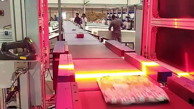 Linear Sorter - Linear Side Arm Sorter by Falcon Autotech