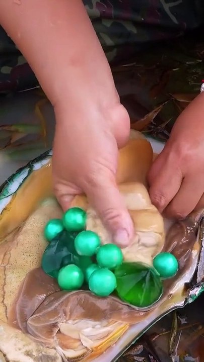 Kerang besar dari laut dan langsung dibuka dengan isi yang menakjubkan