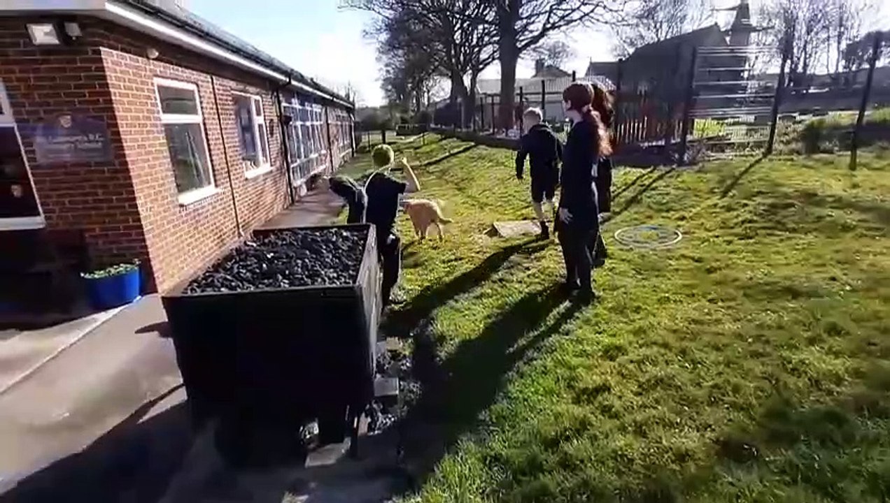 Meet Autumn and Beau the two Sunderland school dogs helping to improve attendance, behaviour and wellbeing
