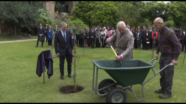 Re Carlo pianta l'albero donatogli da Mattarella a Villa Wolkonsky