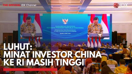 Luhut: Minat Investor China ke RI Masih Tinggi