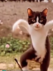 #Entrtainment#funyvideo#dalymutionvideo#shortvideo#shortviral#