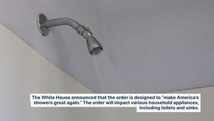 Trump Declares War On Weak Showers With New Executive Order On Water Pressure: 'I Like To Take A Nice Shower To Take Care Of My Beautiful Hair'