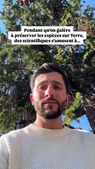 Ils clonent des animaux préhistoriques