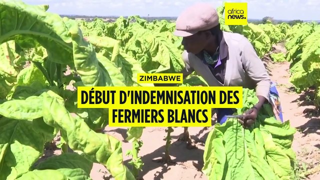 Zimbabwe : début des indemnisations des fermiers blancs