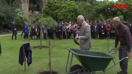 Roma, Re Carlo pianta la quercia donata da Mattarella