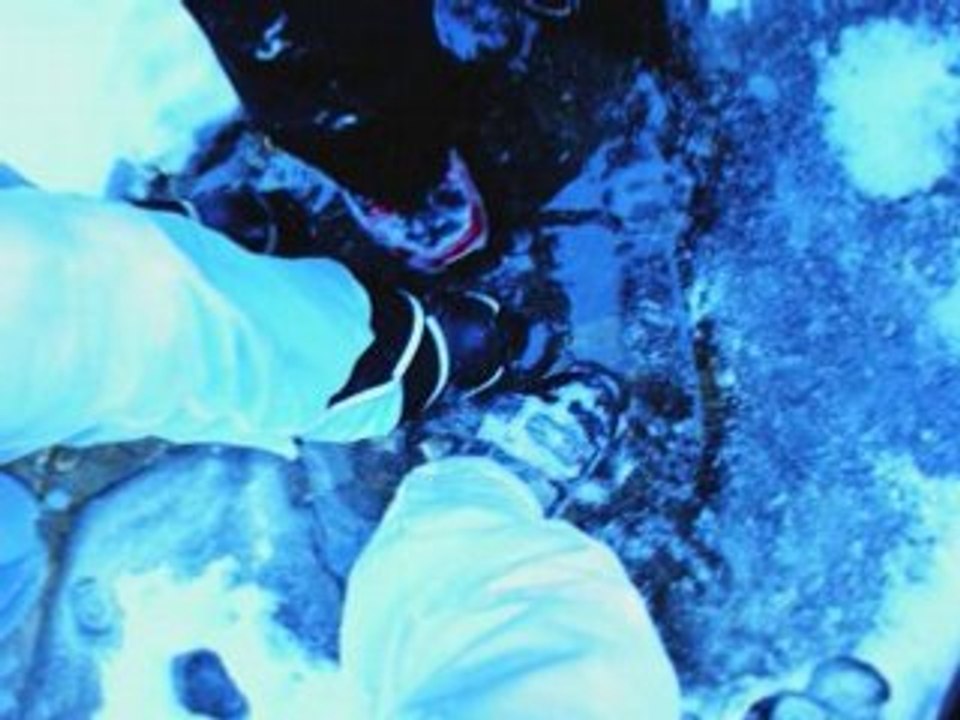 Hiver