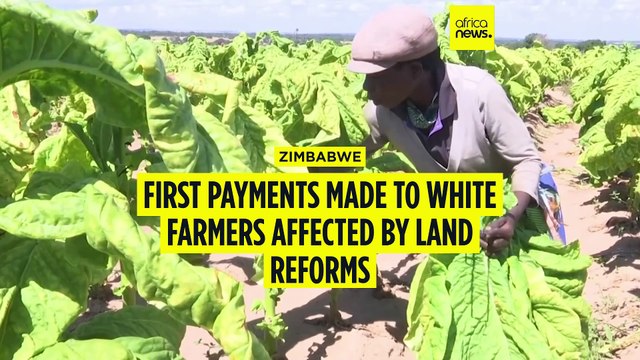 First payments made to white farmers affected by land reforms in Zimbabwe
