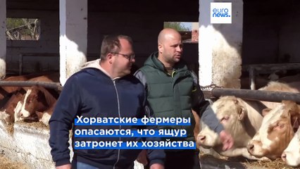 Хорватия обеспокоена распространением ящура. Венгрия выясняет, как вирус попал на ее территорию
