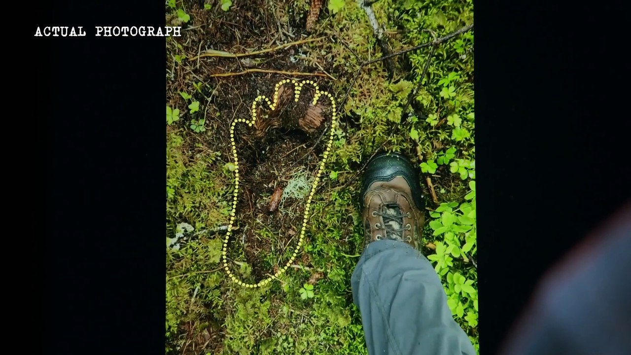 Alaska: El Hombre Peludo de Port Chatham