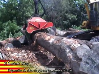 Restauration du moulin de Claira
