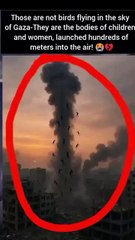Gaza_innocent_people_bodies_in_sky_#shorts_#shortsvideo_#uddinreacts_#trending_#gaza(360p)