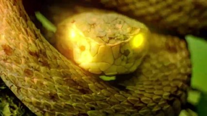 Survived The 5 Deadliest Places On Earth