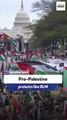 Trump’s spiritual advisor: Pro-Palestine protests like BLM