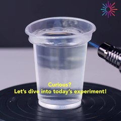 Curious? Let’s dive into today’s experiment!
