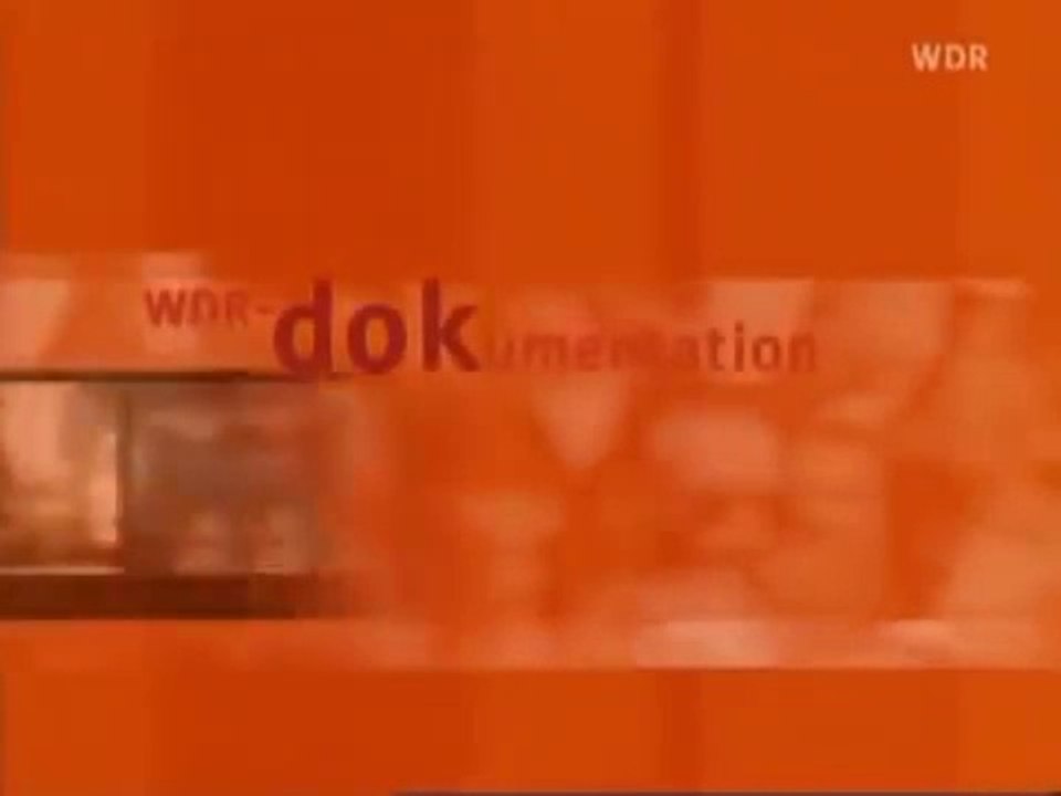 Aktenzeichen 11.9. ungelöst - Lügen und Wahrheiten zum 11. September 2001 (Backup)