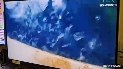 Viaggio fra le montagne sottomarine col robot di Ispra