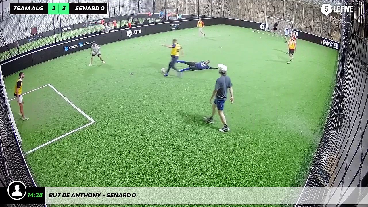 But de Anthony - senard 0