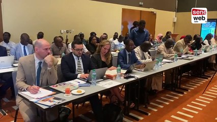 Réforme de la fonction publique _ le senegal et la France face aux défis de l'IA
