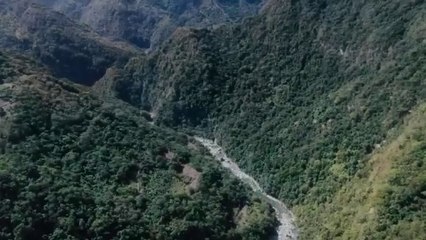 'The Woman Carrying the Prey' - Tráiler Oficial