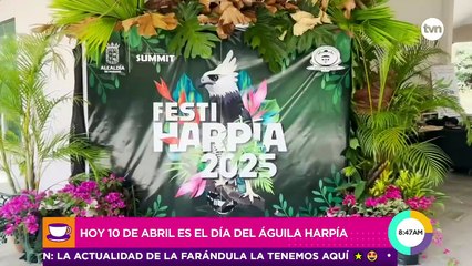 Cada 10 de abril se celebra el Día del Águila Harpía