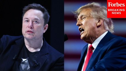 House Democrats Announce Trump Must 'By Law' Fire Elon Musk In 50 Days