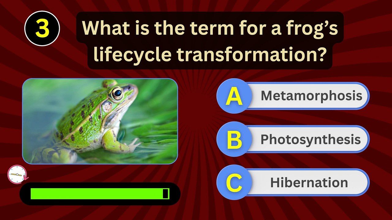 Frog Quiz Challenge 🐸 | Can You Answer These 7 Fun Amphibian Questions?