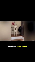 Fun Times with Friends!