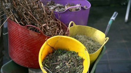 The Beechgrove Garden 2025 episode 2