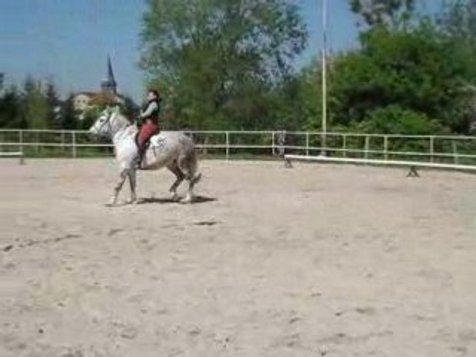 Gringo 2eme lecon