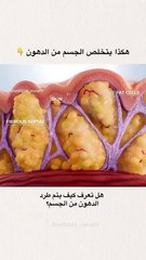 كابشن-هل تعلم أن حرق الدهون لا يحدث فقط من خلال التمرين...؟ ع... الذي يستفيد فيه من الأوكسجين لتحويل الدهون المخزنة إلى طاقة، وثان