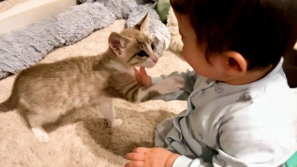 Baby Falls In Love With Rescue Kittens