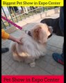 Pet Show in Expo Center