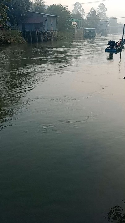 morning river