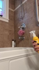 Parrot Sings Festive Tune While Splashing Around During Bath Time