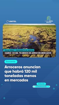 Arroceros anuncian que habrá 120 mil toneladas menos en mercados