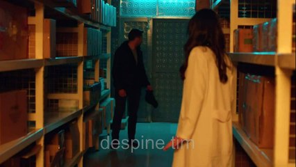 Daleki grad - 20. epizoda / Pođite sa mnom u Kanadu