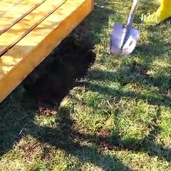 Building a wooden walkway to beautify your garden