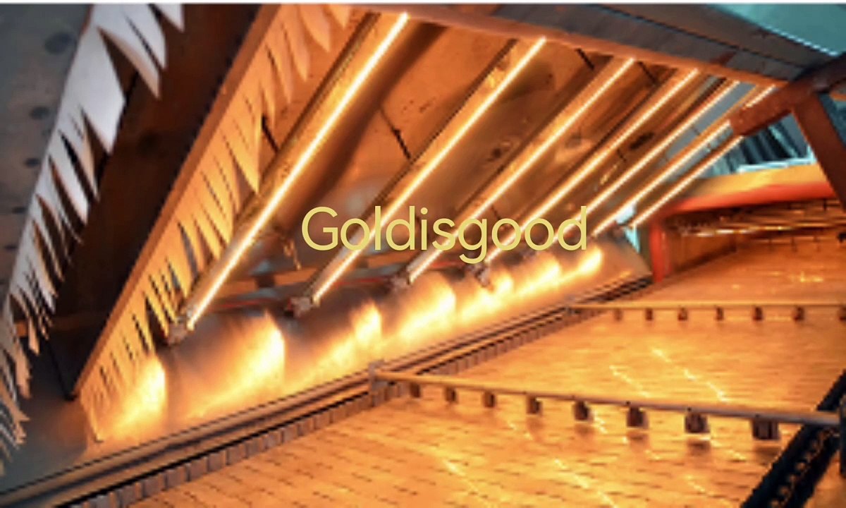 755mm 220v 2000w Ir Lamp carbon firer Infrared Heat Lamp For Drying of lacquer,printing inks From Goldisgood