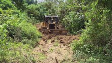 Advantages of D6R XL Bulldozer in Plantation Road Repair