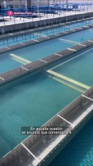 Planta potabilizadora de Durango cambia fecha para dar inicio a sus operaciones